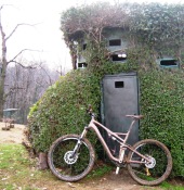 stumpjumper